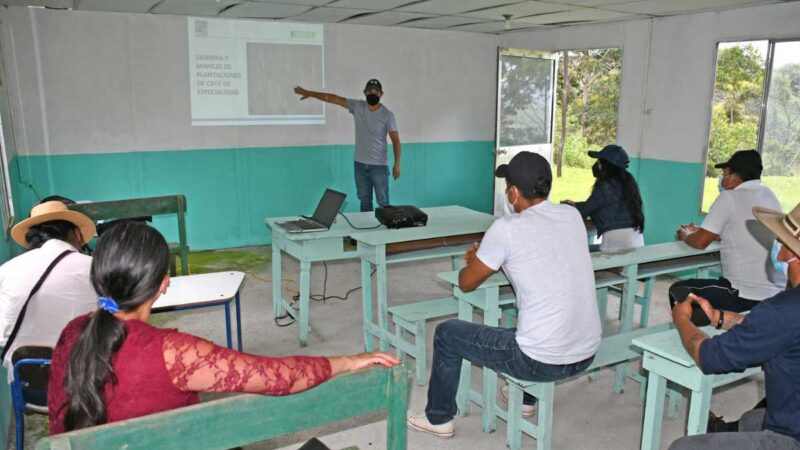 Realizan taller sobre cultivo de café