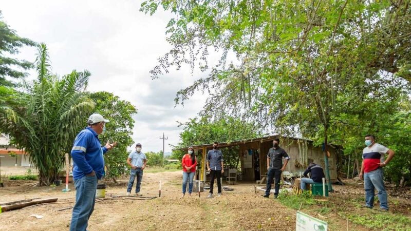 Se prepara proyecto de reforestación en Portoviejo