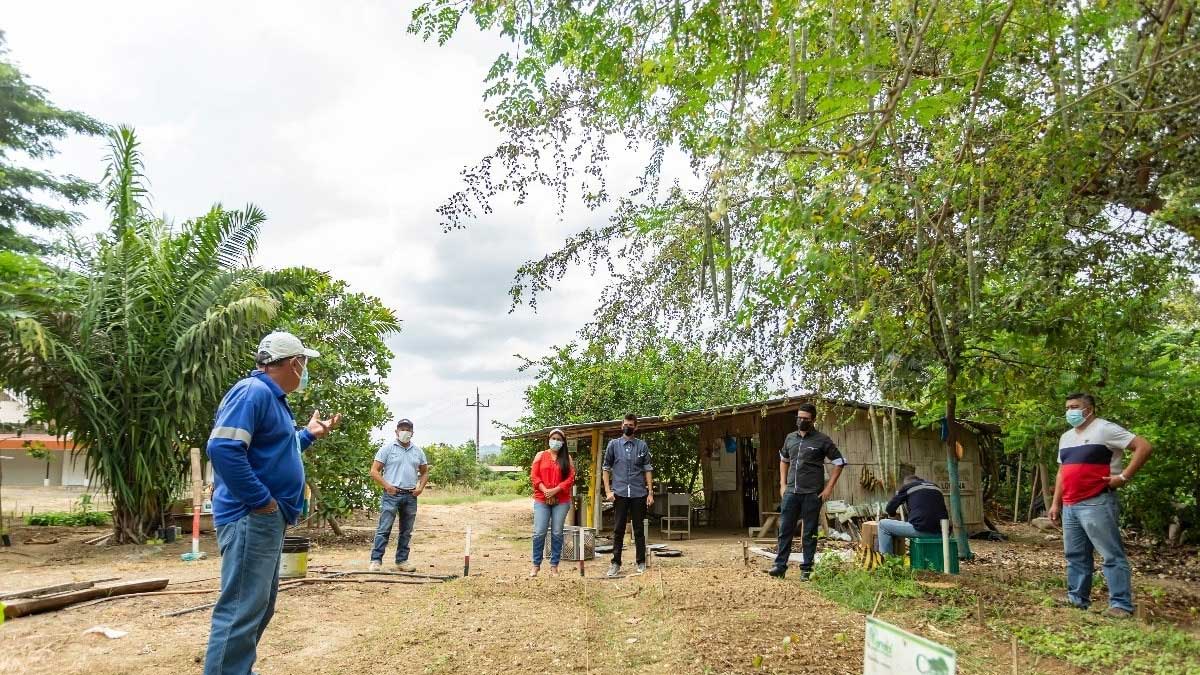 Se prepara proyecto de reforestación en Portoviejo