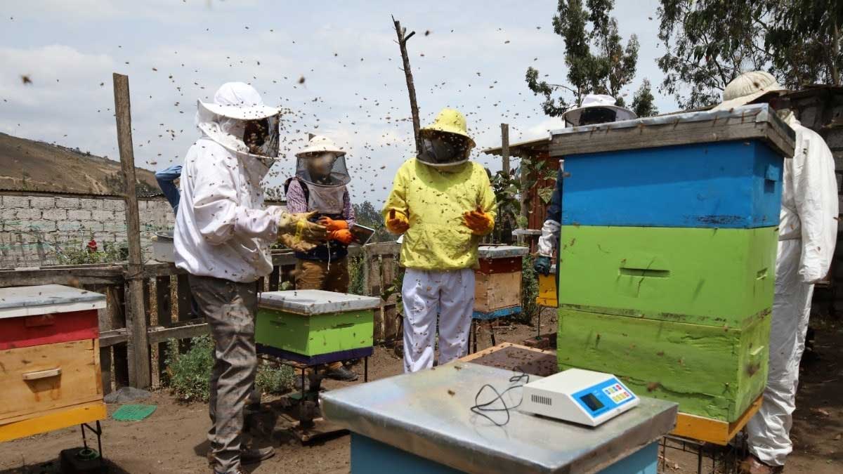 Se realiza charla sobre los beneficios de la apicultura
