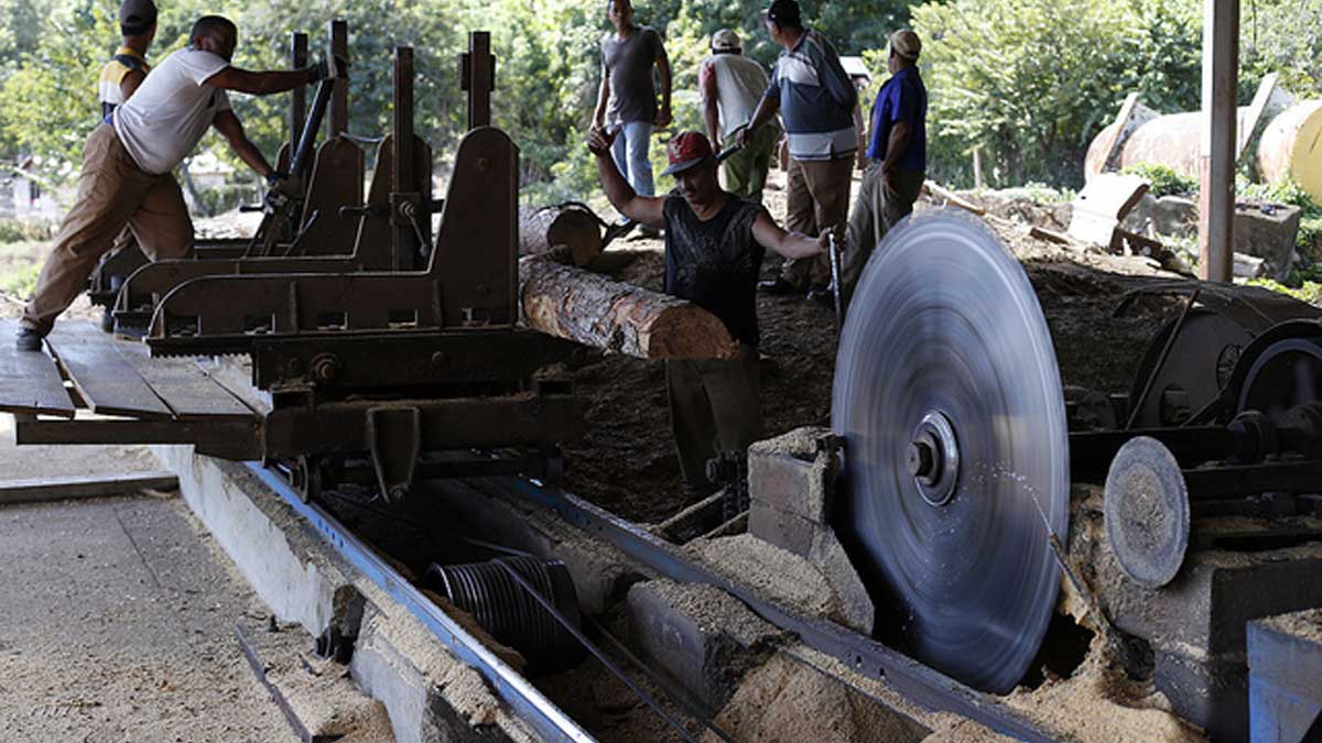 Cambios en la contratación y comercialización de la producción agropecuaria, forestal y tabacalera