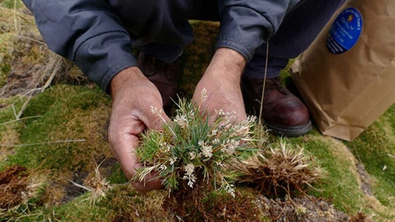 Serfor y Concytec firman convenio para promover innovación en sector forestal y fauna