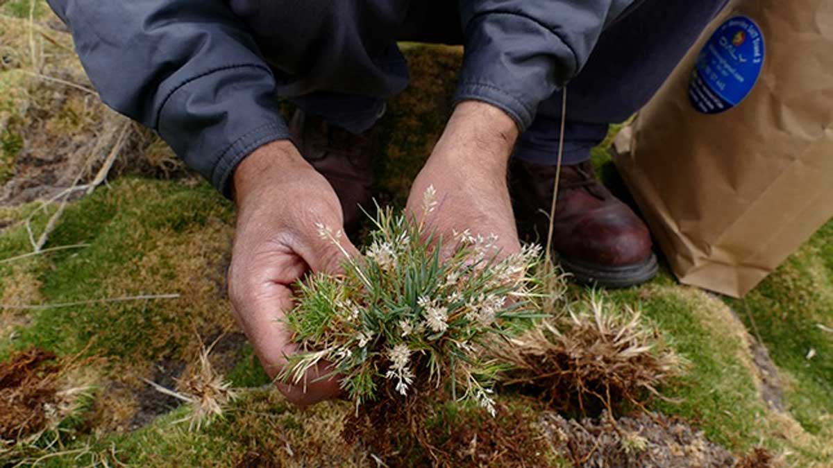 Serfor y Concytec firman convenio para promover innovación en sector forestal y fauna