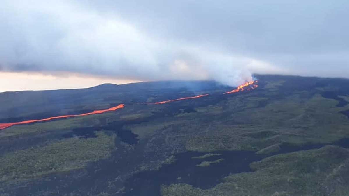 Sobrevuelo evidencia que la actividad volcánica de Wolf se mantiene