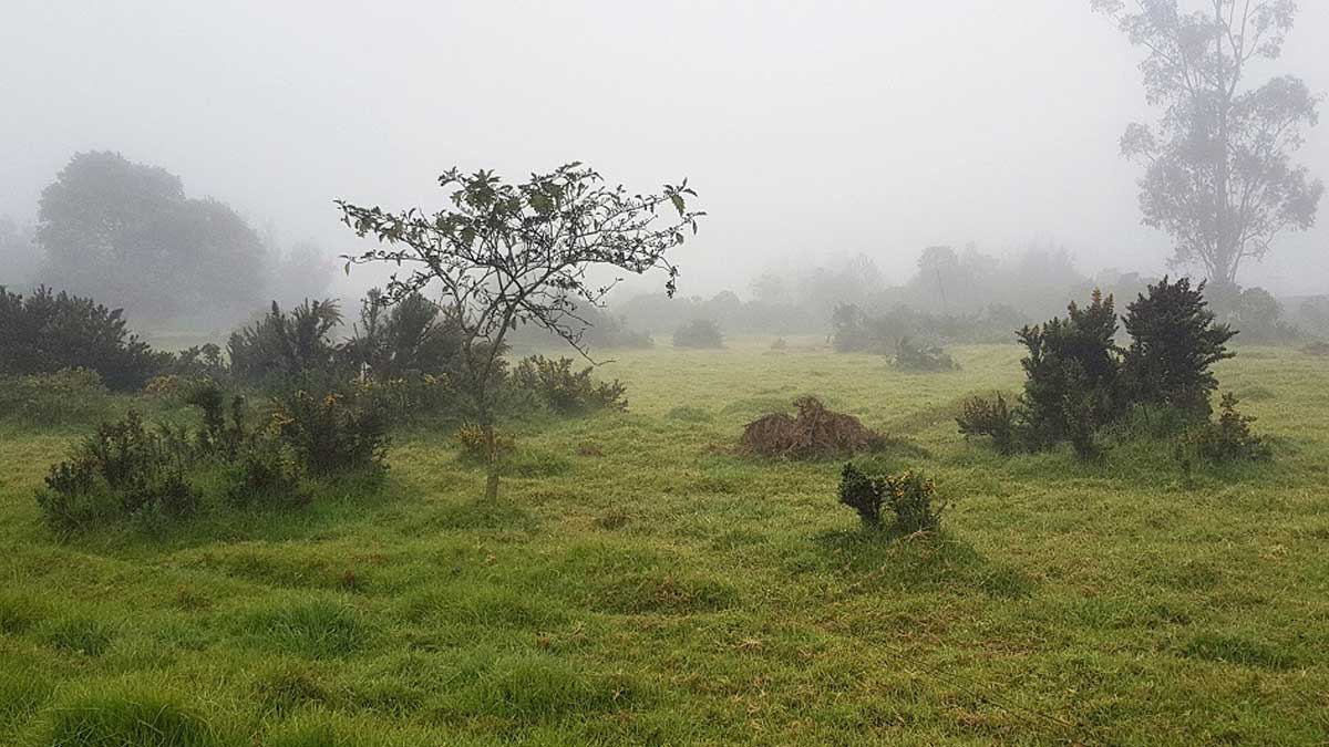 Variaciones climáticas, habituales al inicio del año, no pueden tomarnos desprevenidos, indico MinAgricultura a productores del agro