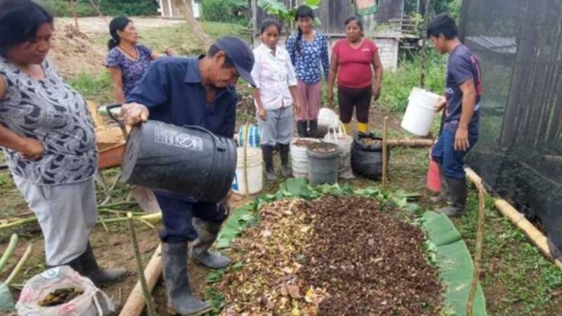 A través de las escuelas de campo, alrededor de 500 productores serán capacitados en Napo