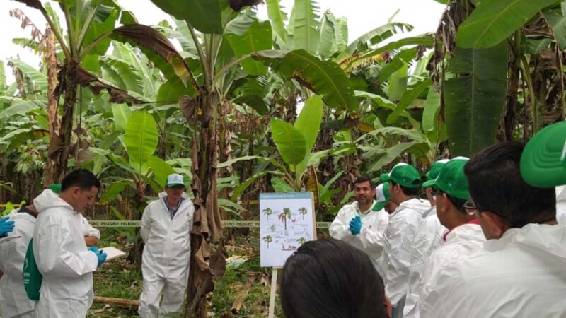 ACCIONES EN LA FRONTERA SUR PARA PREVENIR EL FOC R4T
