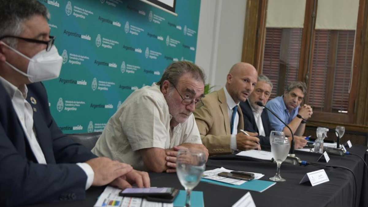 Emergencia: Agricultura coordina acciones con las provincias afectadas por la situación ganadera