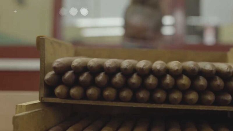 Bloqueo de Estados Unidos contra Cuba afecta producción tabacalera