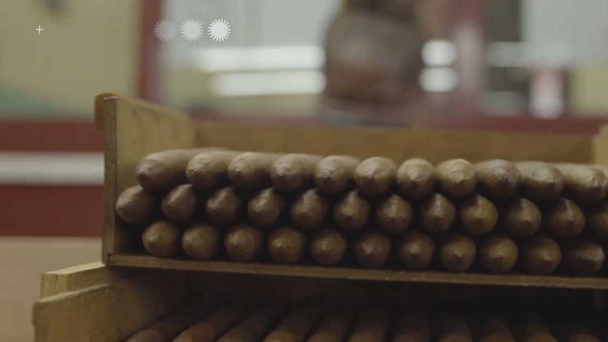 Bloqueo de Estados Unidos contra Cuba afecta producción tabacalera