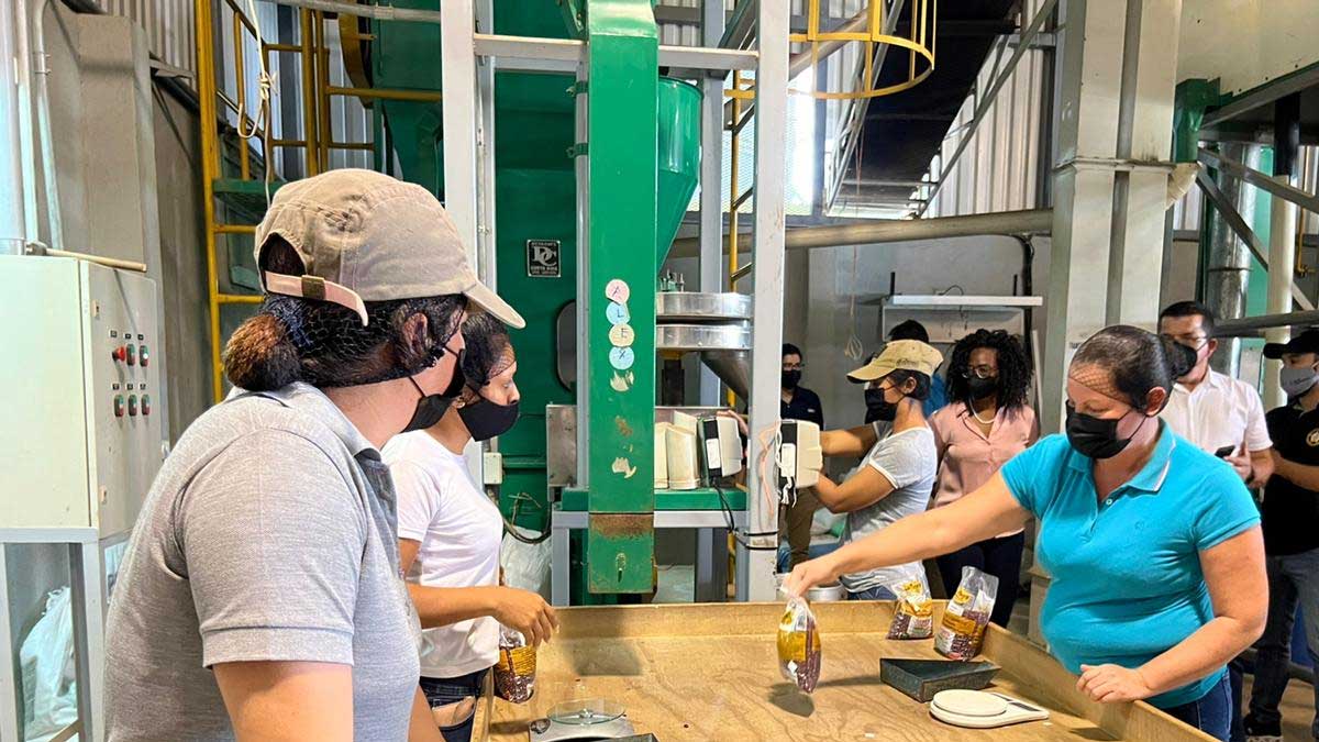 CNP inaugura bodegas climatizadas para abastecimiento de granos básicos