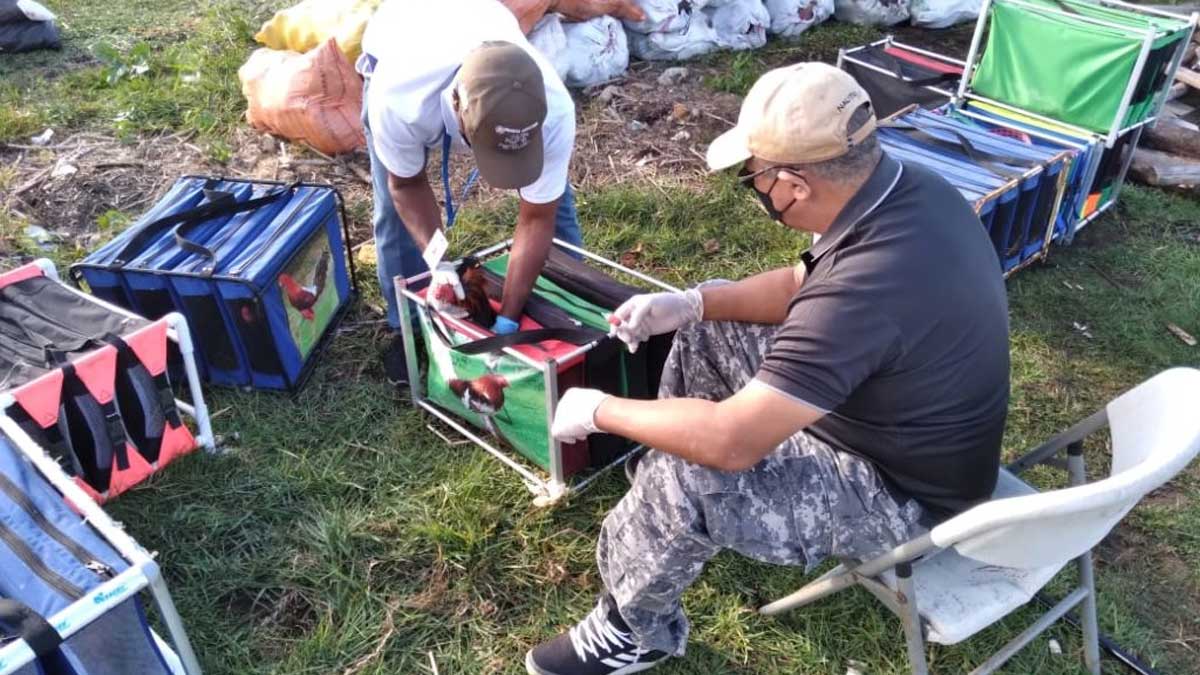 Decomisan y destruyen mercancía de contrabando en Guna Yala