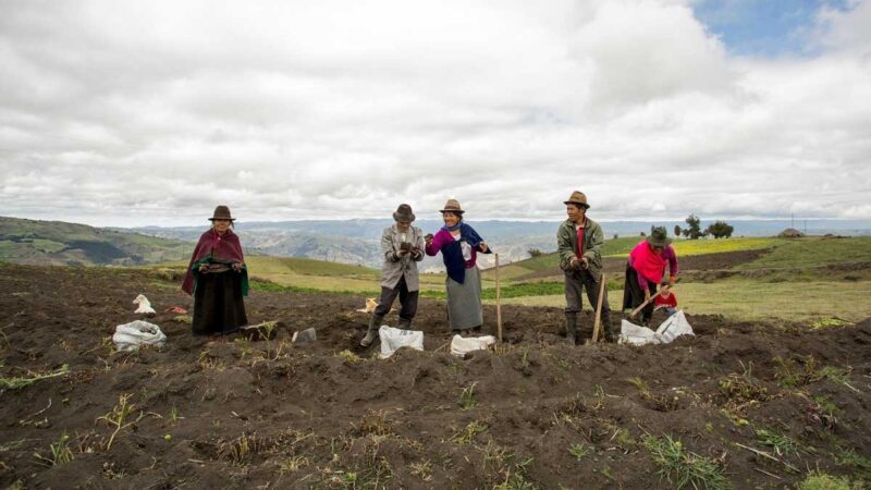 Ecuador cuenta con más de 9 mil productores orgánicos