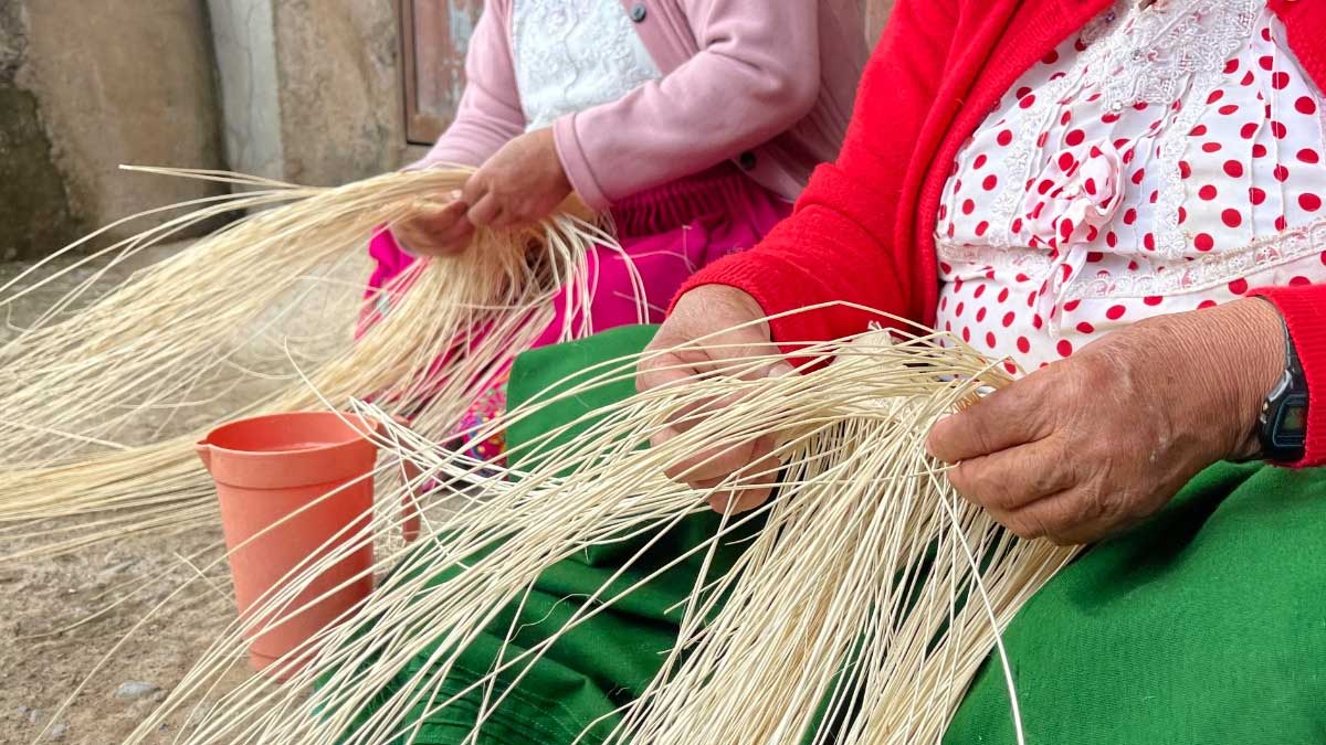 El tejido y producción del Sombrero de Paja Toquilla se fortalece en la parroquia Checha
