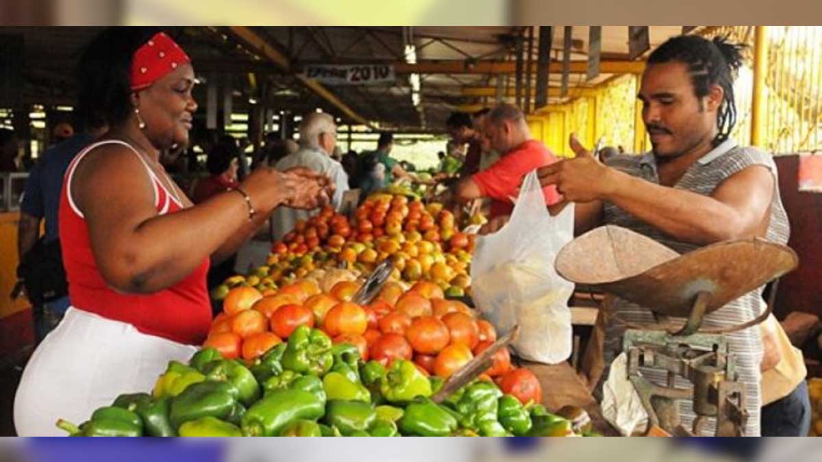 Establecen pago del Impuesto sobre las Ventas por la comercialización minorista de productos agropecuarios