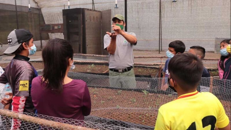 Estudiantes aprenden a través de la educación experiencial
