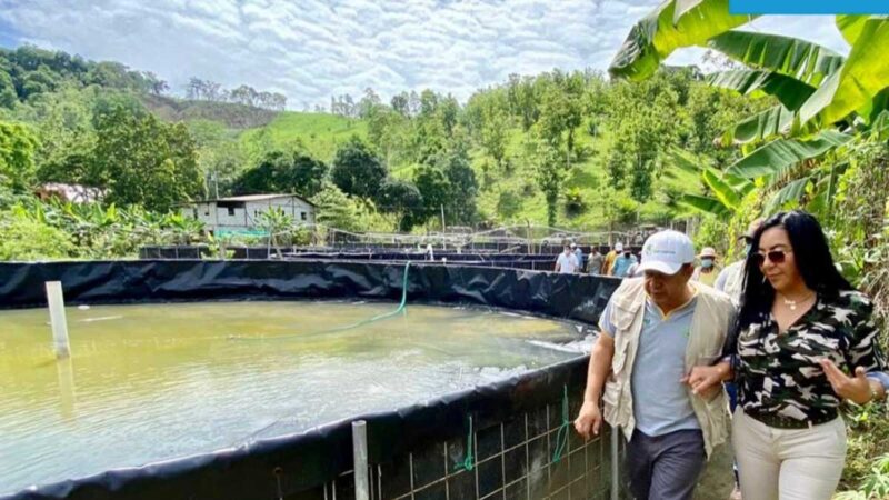 Fortalecen la cadena productiva de la pesca artesanal