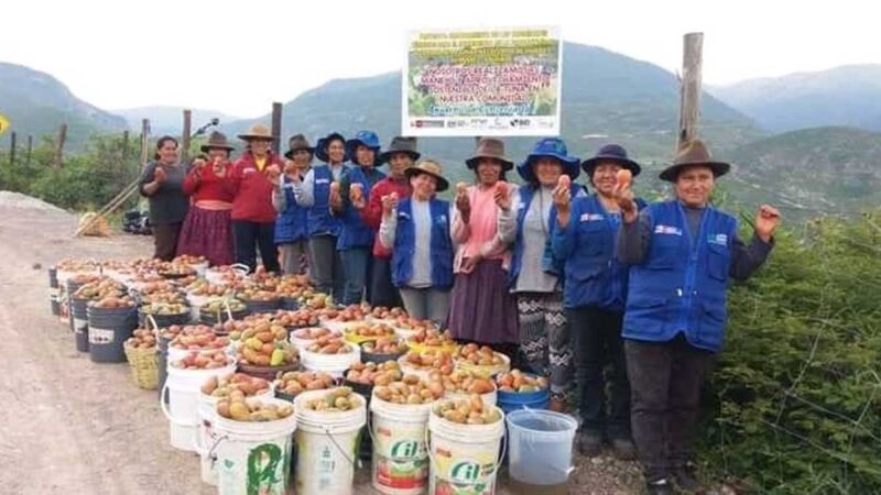I Festival de la Tuna Ihuayllo-Miskituna: 17 de febrero en Apurímac