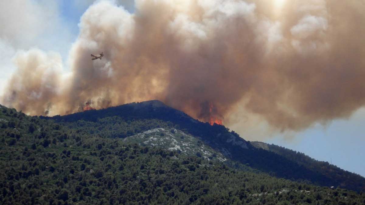 La ONU alerta de la amenaza de los incendios forestales y de la contaminación acústica
