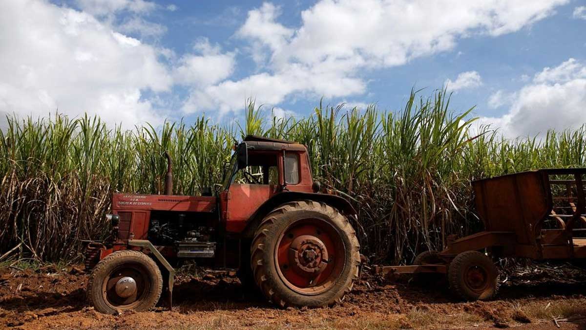 La industria azucarera de Cuba se dirige hacia la peor temporada de la historia mientras la producción se tambalea