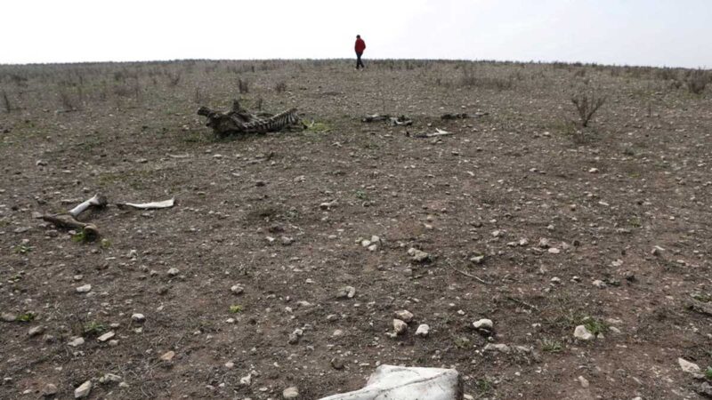 La sequía marroquí ‘catastrófica’ impulsará los costos de las importaciones y los subsidios