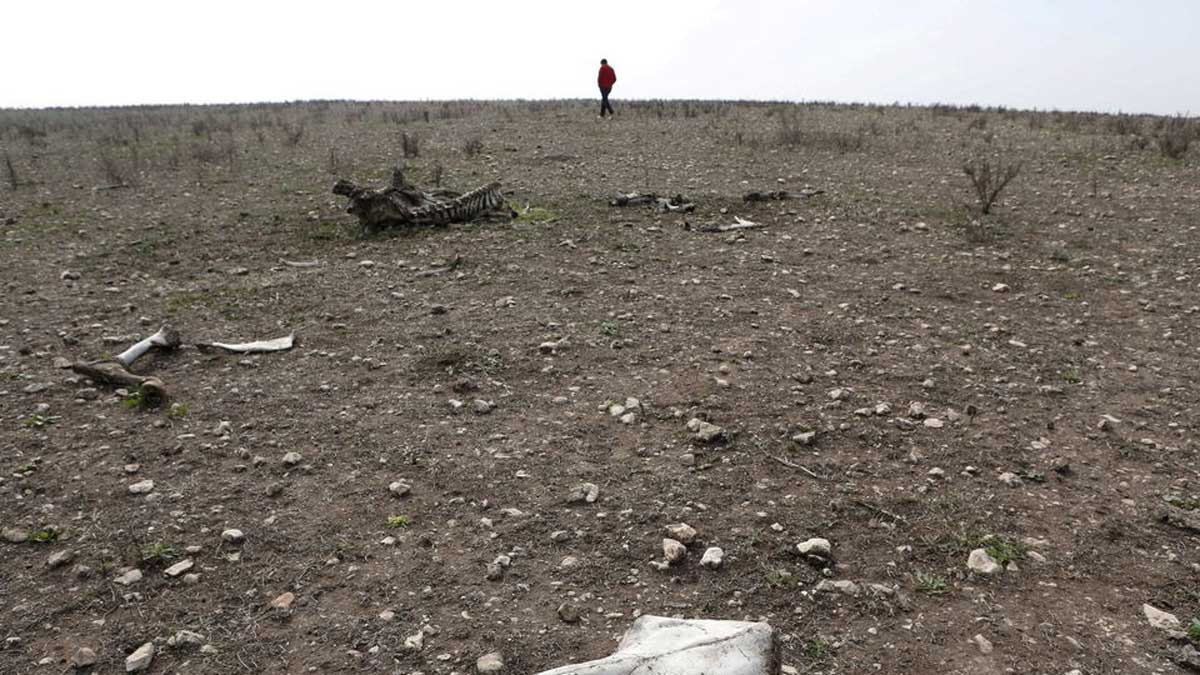 La sequía marroquí ‘catastrófica’ impulsará los costos de las importaciones y los subsidios