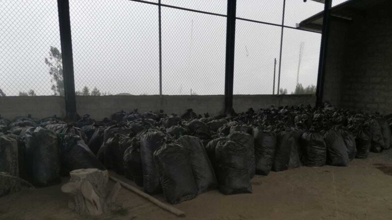 MAG gestiona entrega de alimento para ganado afectado por lluvias