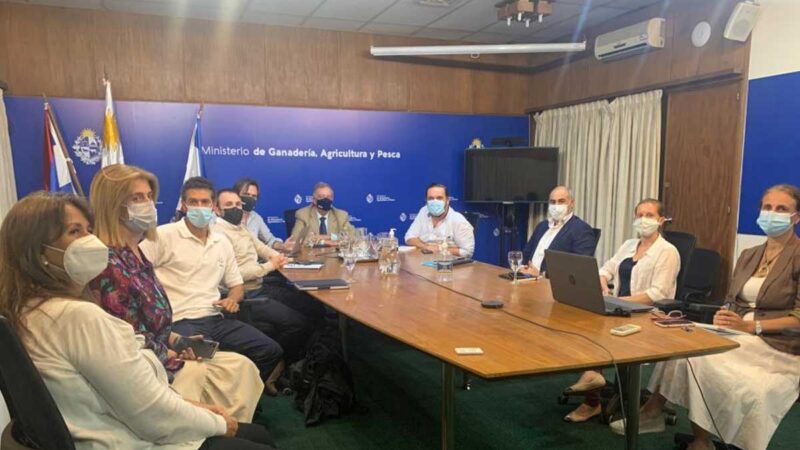 MGAP agrega nuevas seccionales y a horticultores bajo cubierta en Emergencia Agropecuaria