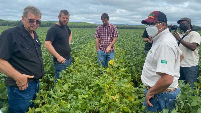 Fortalecen México y Belice acciones de cooperación en el sector agroalimentario
