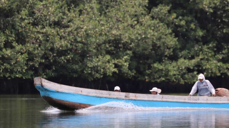 Ministerio de Ambiente triplicó la extensión del Refugio de Vida Silvestre Manglares El Morro