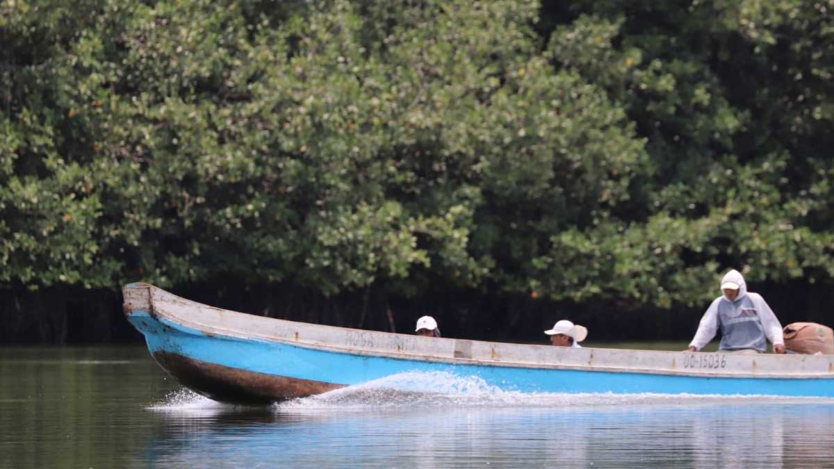 Ministerio de Ambiente triplicó la extensión del Refugio de Vida Silvestre Manglares El Morro