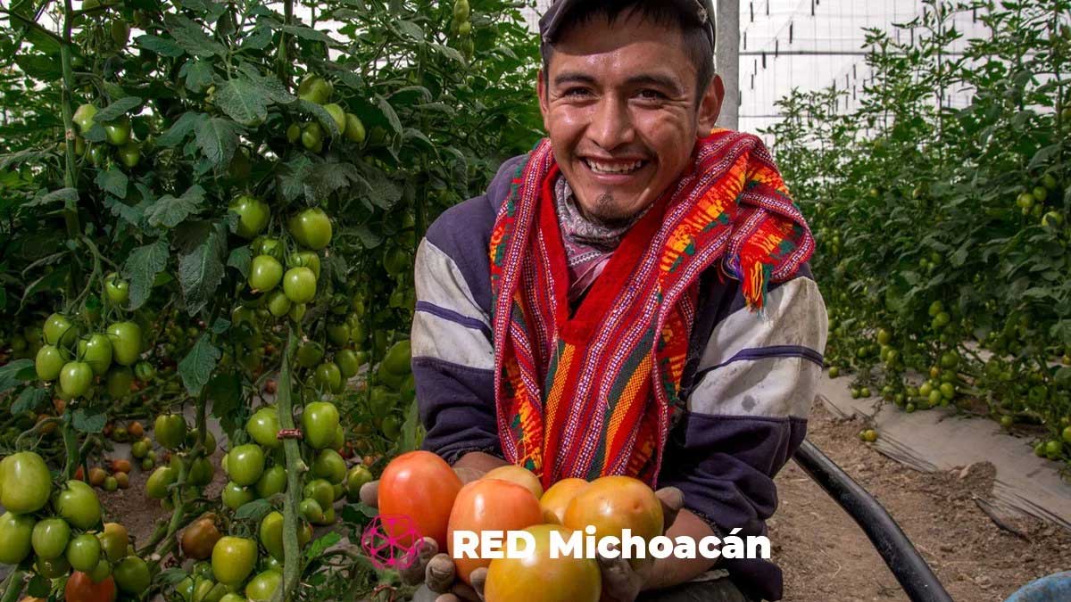 Ofrecerán talleres a productores de comunidades indígenas de diversas cadenas productivas para facilitar acceso a crédito