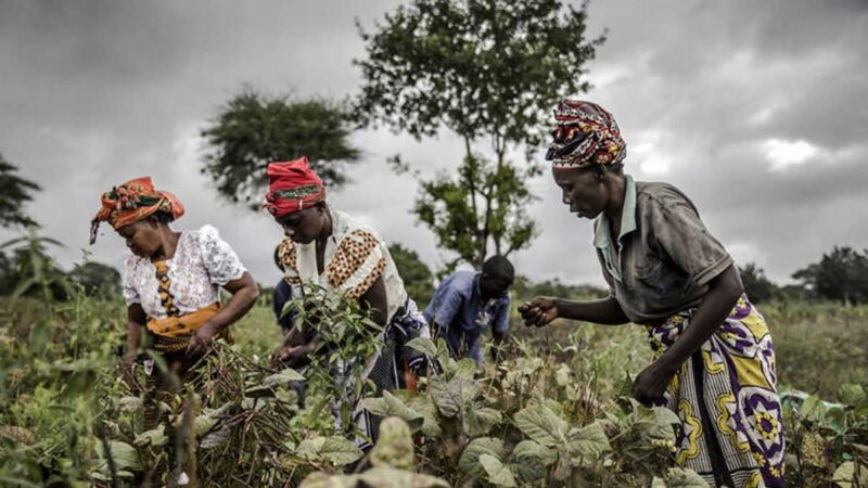 Para el Cercano Oriente y África del Norte, el nexo entre el agua, la energía y la seguridad alimentaria es fundamental