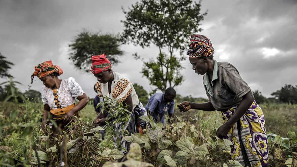 Para el Cercano Oriente y África del Norte, el nexo entre el agua, la energía y la seguridad alimentaria es fundamental