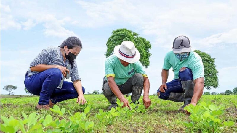 Continuamos fortaleciendo la actividad agrícola del Guayas!