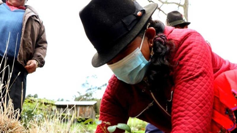 Prefectura entrega plantas e insumos agrícolas para fortalecer la producción de los pequeños productores y el cuidado del medio ambiente.