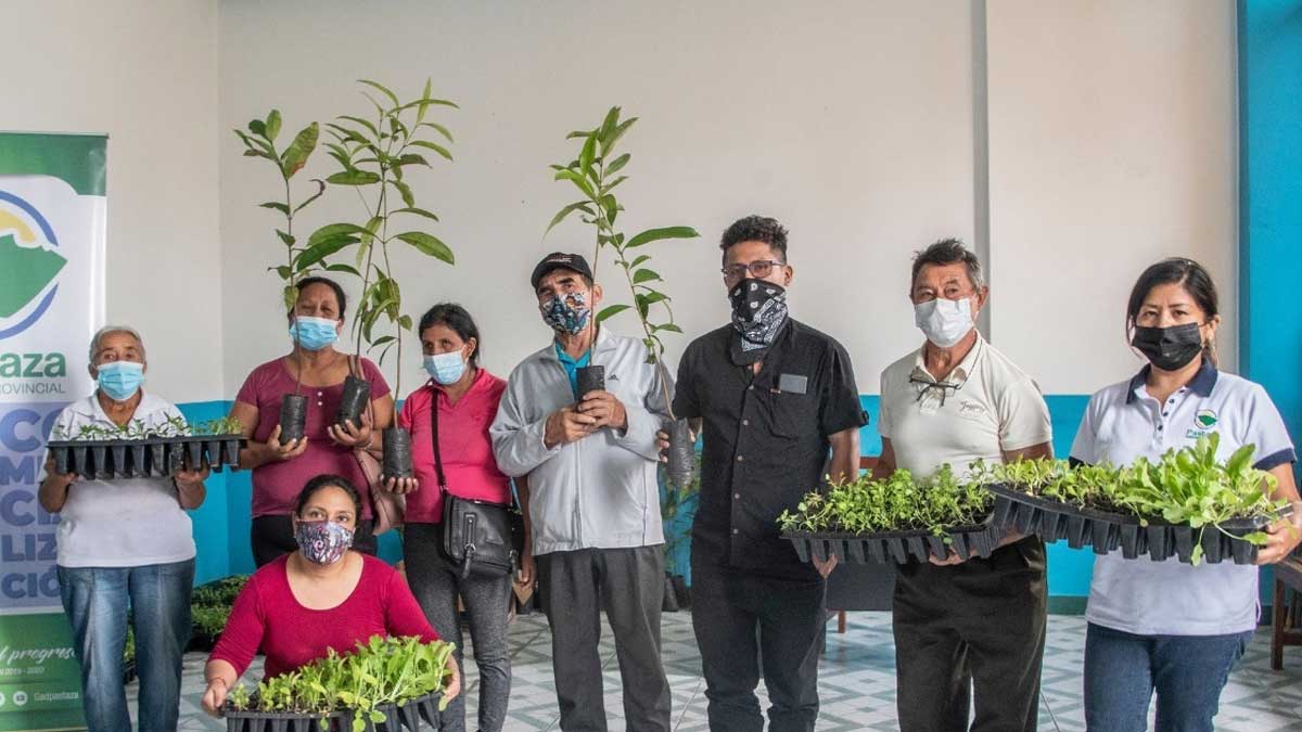 Prefectura impulsa la siembra de plantas alimenticias y forestales