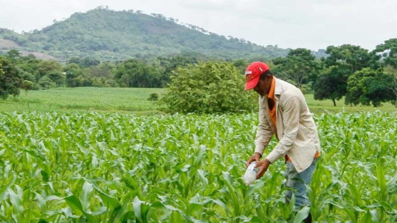 Trabaja conjunto con la comunidad