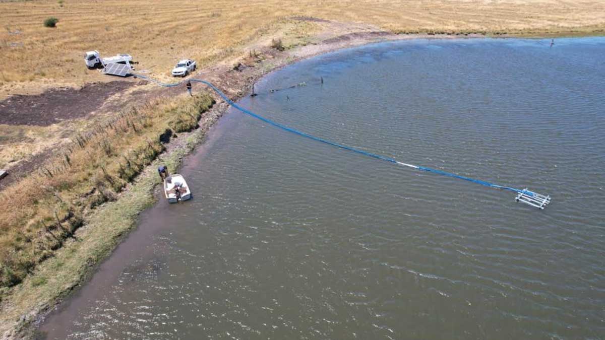 Proyecto piloto ganadero busca generar resultados y compartir aprendizajes