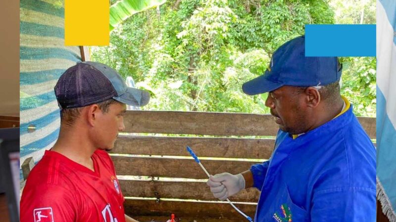 Realizan inseminación artificial en cerdas