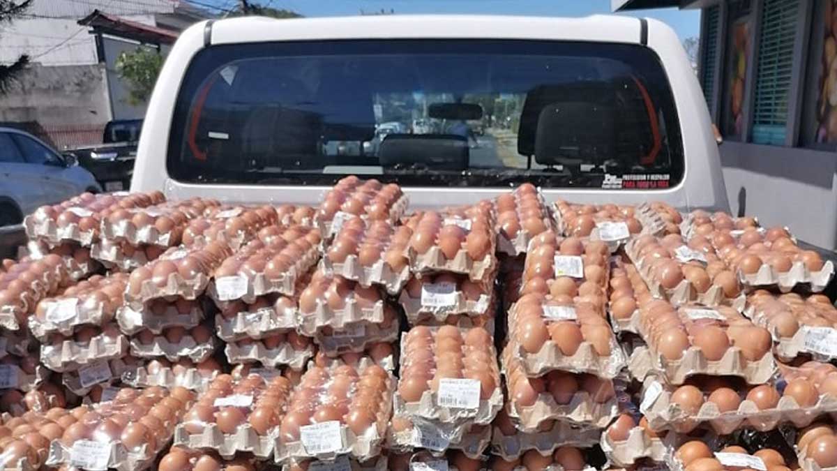 SENASA incautó huevos que se presume ingresaron de contrabando desde Panamá