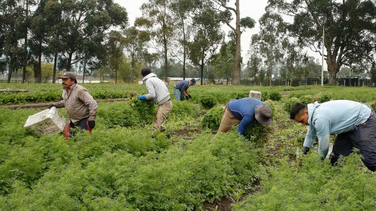 Se inscribieron más de 10.000 productores en la plataforma ‘Mi Registro Rural’