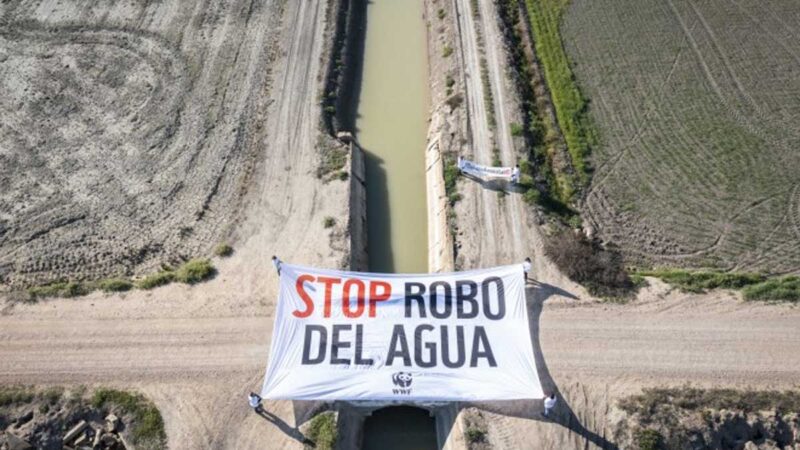 WWF coloca pancartas gigantes en humedales para denunciar el «robo del agua»