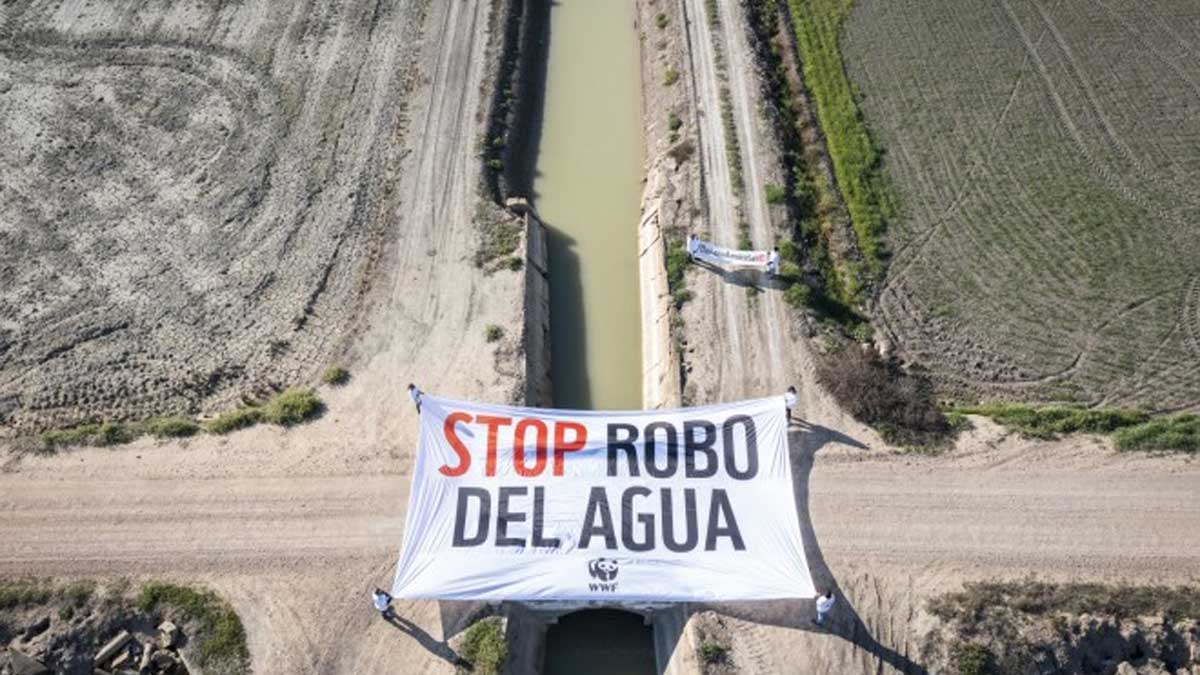 WWF coloca pancartas gigantes en humedales para denunciar el «robo del agua»