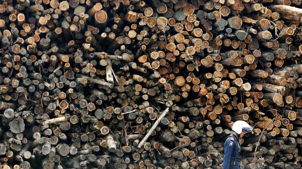 APRIL Group invierte 2.300 millones de dólares en una fábrica de cartón en Sumatra, Indonesia