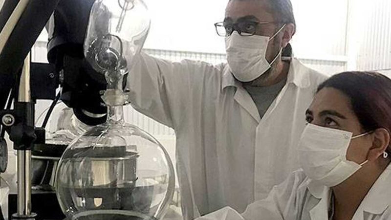 Abre primera planta para elaborar productos cosméticos a base de cannabis