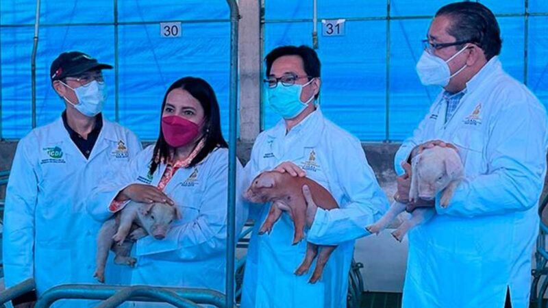 Financiados por Taiwán: Autoridades de la SAG, visitan proyectos porcino y aguacate