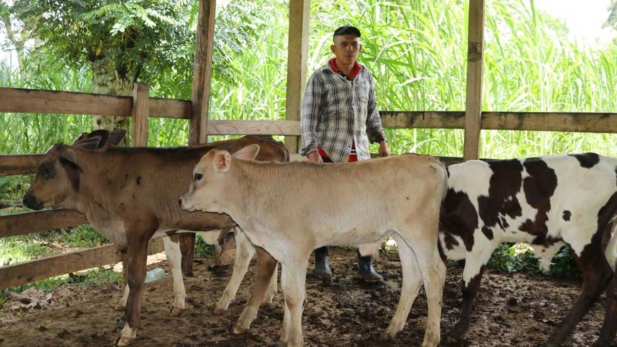 Avanza el Programa Nacional de Mejoramiento Genético Bovino