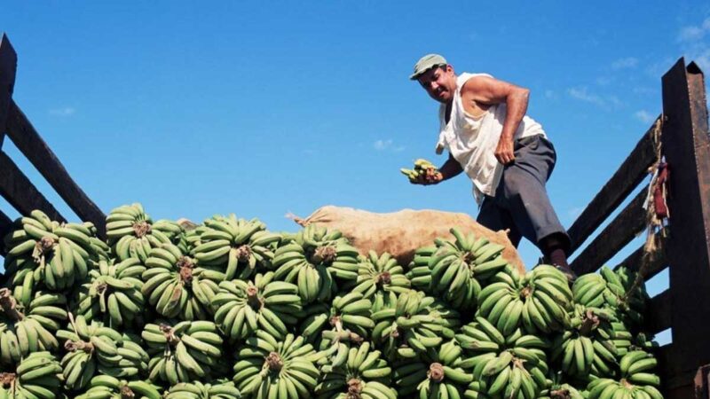 Cuba califica 2021 como uno de los peores años para su agricultura
