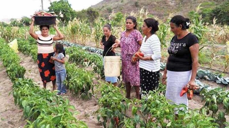 Casi el 70 % de las trabajadoras del sector agrario de Euskadi han sufrido actitudes sexistas